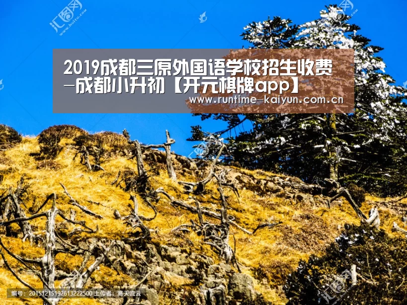 开元棋牌app